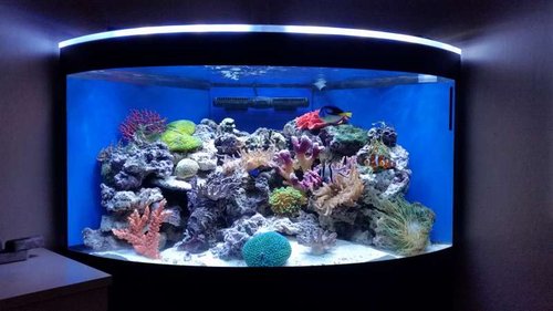 2015-08-19 21.00.14.jpg