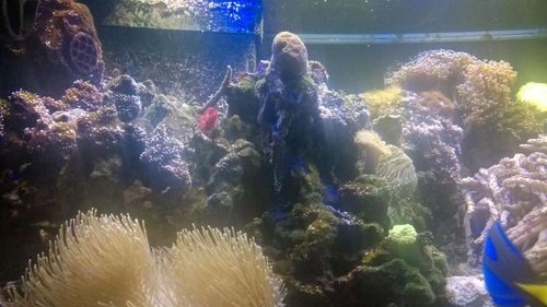 WP_20150819_005.jpg