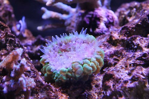 IMG_4989.JPG