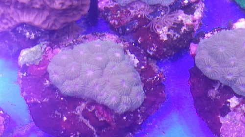 20150831_152307.jpg