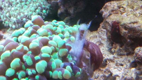 20150902_200851.jpg