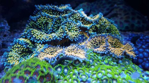 20150906_234540.jpg
