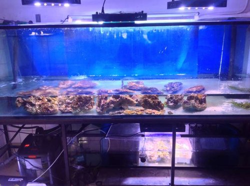1200L + 200L sump