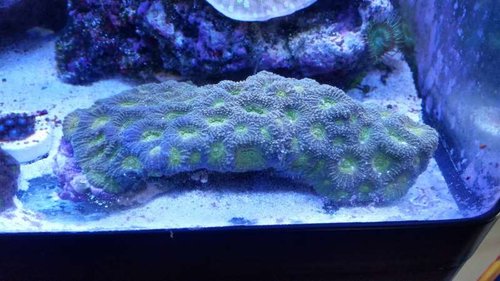 20150917_143001.jpg
