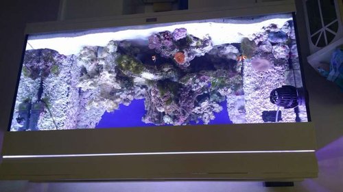20150823_113618.jpg