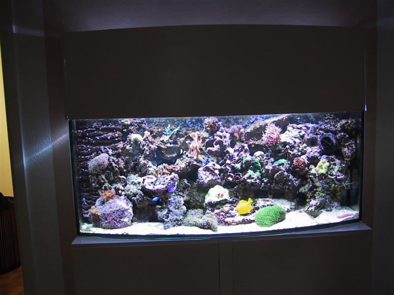 Akvariet.JPG