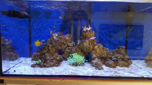 FTS 0919