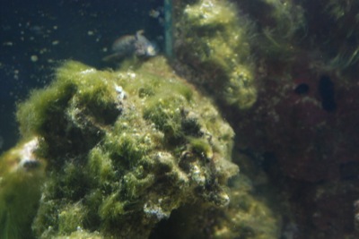 DSC_2152.JPG