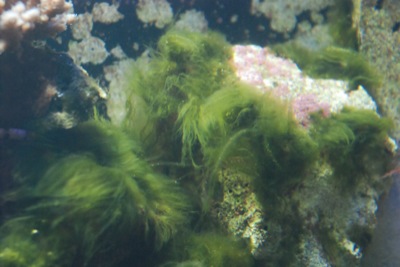 DSC_2143.JPG