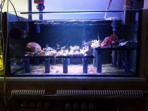 Frag tank.