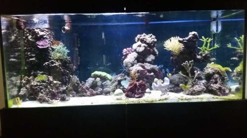 20150920_103159.jpg