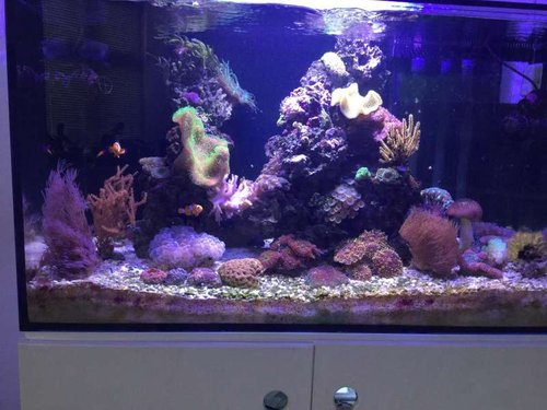 Fts