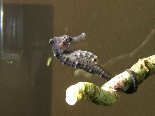 image.jpg (29.3 KiB) Vist 6966 gange Nr1