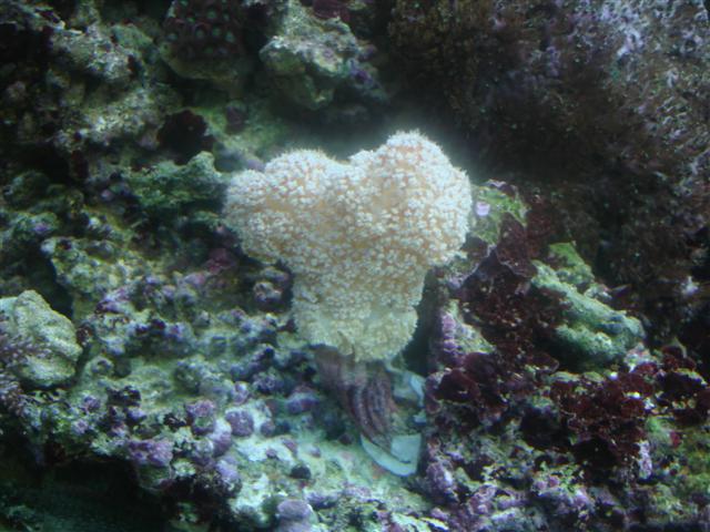 DSC00250 (Small).JPG