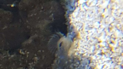 20150930_171639.jpg