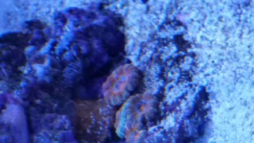 20150929_181745.jpg