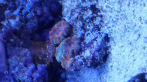 20150929_181753.jpg