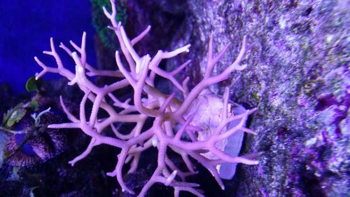 20150930_185933.jpg