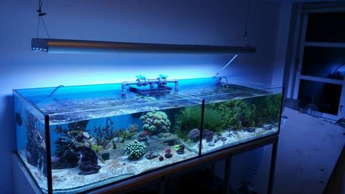 20151006_190909.jpg