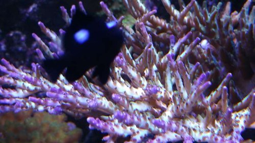 20151006_185623.jpg