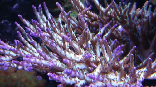20151006_185625.jpg
