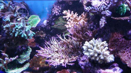 20151006_190141.jpg