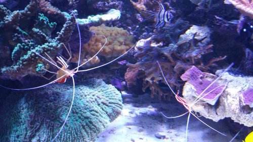 20151006_190106.jpg