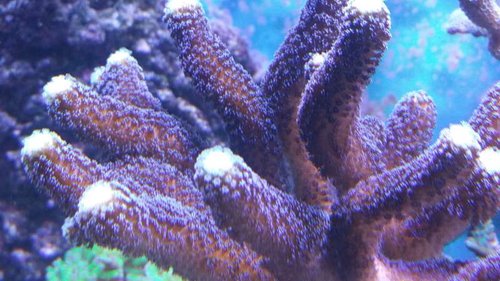 20151006_185558.jpg
