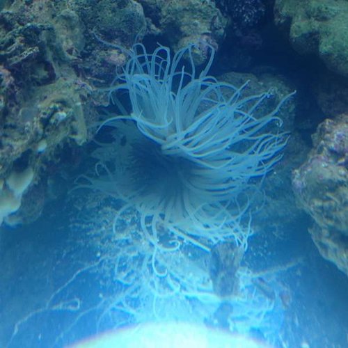 IMG_0407.JPG