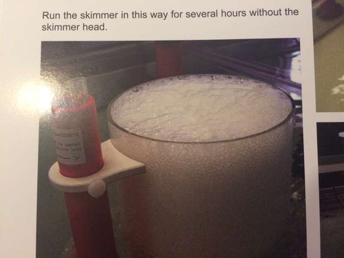 image.jpeg