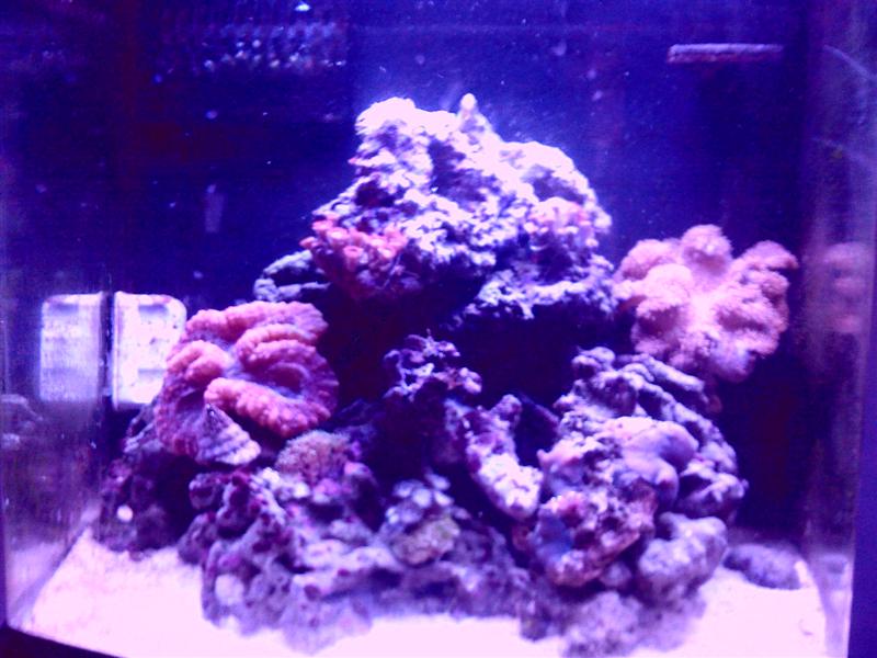 Mit akvarie (Medium).jpg