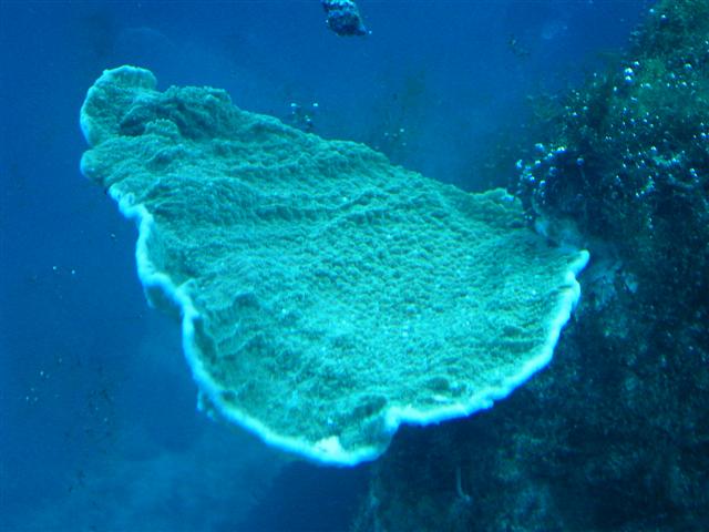 PICT3307 (Small).JPG