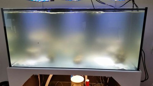 20151018_140736.jpg
