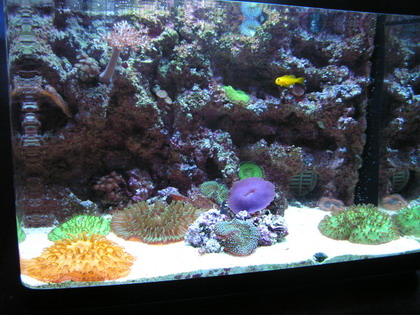 forum pic 63.jpg