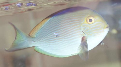 test.jpg (20.65 KiB) Vist 2786 gange jpg fil