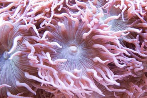 test1 (2).jpg