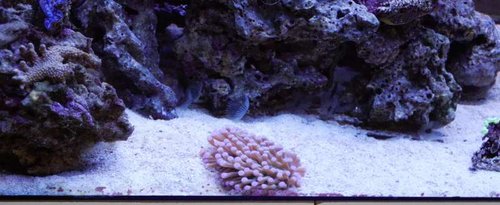 DSC_0021.jpg