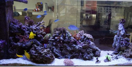 DSC_0023.jpg
