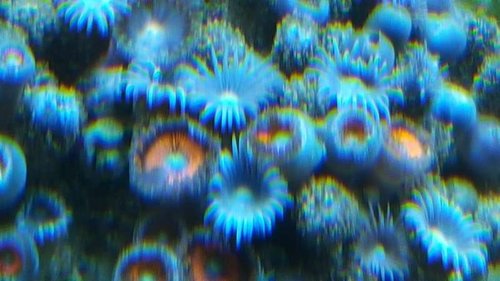 20151018_112108.jpg