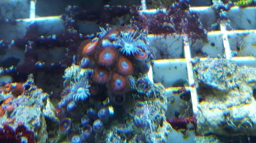 20151018_111911.jpg