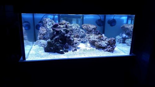 20151025_170522.jpg