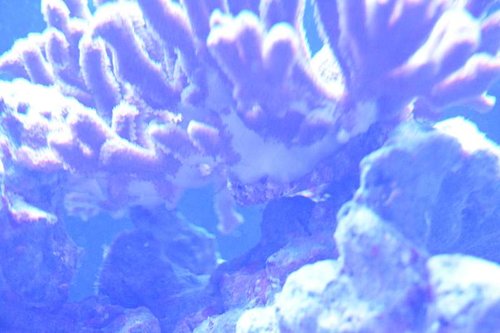 DSC_0029.JPG