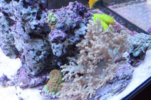 DSC_0066.JPG