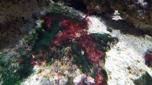 20151027_125033.jpg