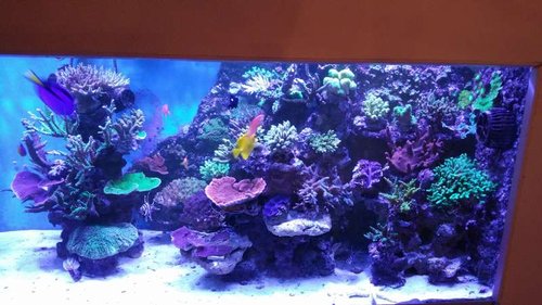 20151027_214630.jpg