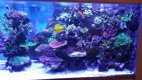 20151027_214635.jpg