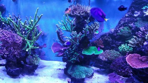 20151027_214652.jpg