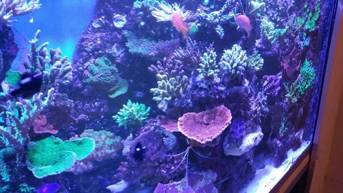 20151027_214701.jpg