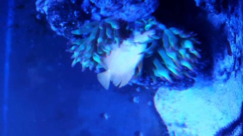 20151030_184141.jpg