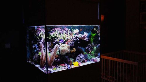 FTS